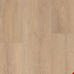 Plus Premium XL: Grande Lotte Oak VV662-05013