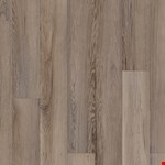 Salton Chestnut VV585-50001