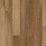 Niland Chestnut VV585-50002