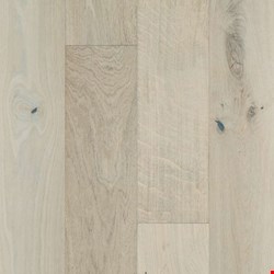 Shaw Expressions: Lyric 5/8