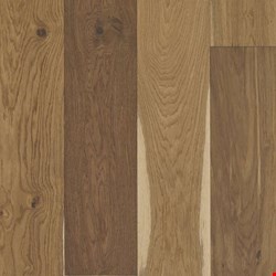 Shaw Expressions: Prose 5/8