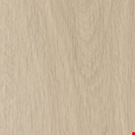 Spring Mist RFHY70L06E