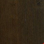 Tree Trunk Brown RFHY70L10E