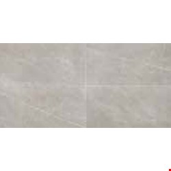 Daltile Resilience: Stamina Grey 4