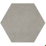 Ashgrey P0098510HEX1P