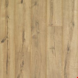 Mohawk Revwood Plus: Castlebriar Cavalry Oak 10mm Waterproof Laminate CDL91-02