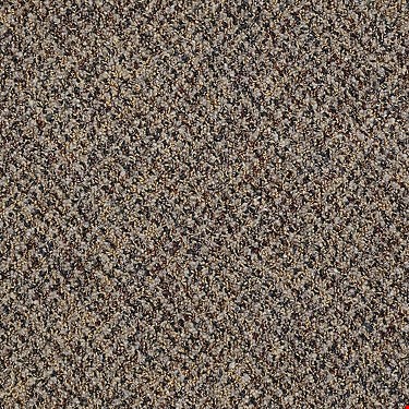 Shaw Change In Attitude Carpet Tile J0111: Get A Grip 24" x 24" Carpet Tile J0111 12109