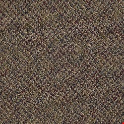 Shaw Change In Attitude Carpet Tile J0111: Play It Cool 24
