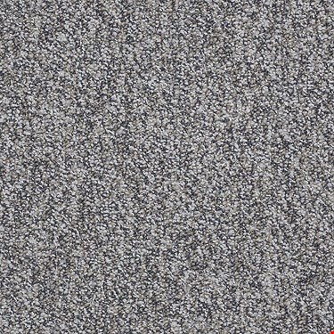 Shaw Sound Advice Tile: Get Along 24" x 24" Carpet Tile 54488 88501