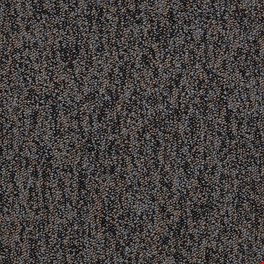 Shaw Sound Advice Tile: Stay Active 24" x 24" Carpet Tile 54488 88503