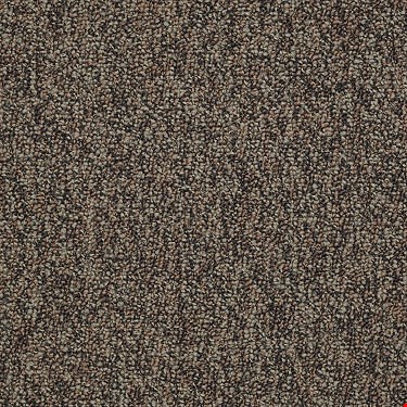 Shaw Sound Advice Tile: Plan Ahead 24" x 24" Carpet Tile 54488 88703