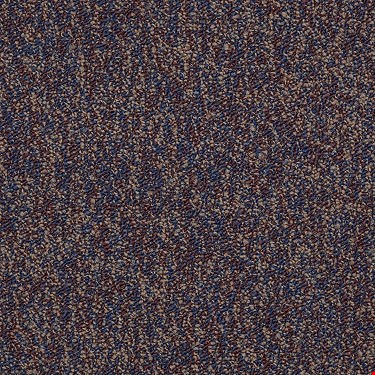 Shaw Sound Advice Tile: Exercise 24" x 24" Carpet Tile 54488 88800