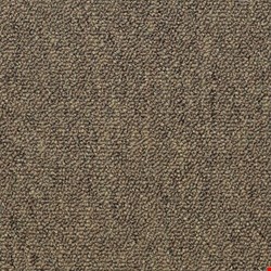 Shaw Capital III: Election 24