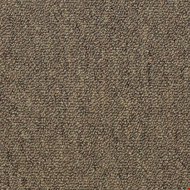 Shaw Capital III: Election 24" x 24" Carpet Tile 54480 80200