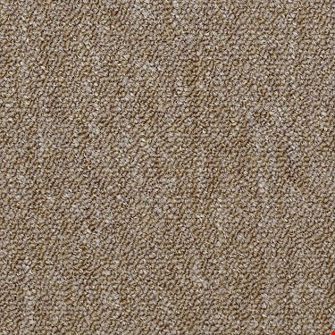 Shaw Capital III: Majority 24" x 24" Carpet Tile 54480 80201
