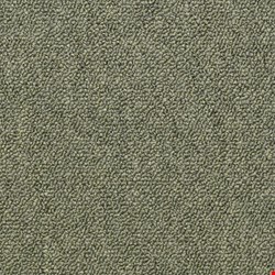 Shaw Capital III: Distinguished 24