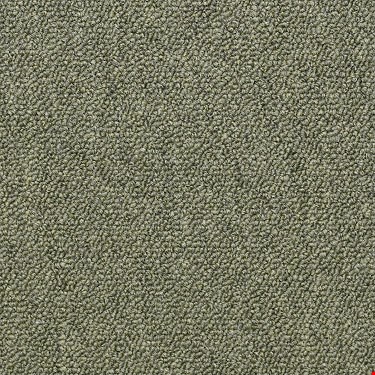 Shaw Capital III: Distinguished 24" x 24" Carpet Tile 54480 80301