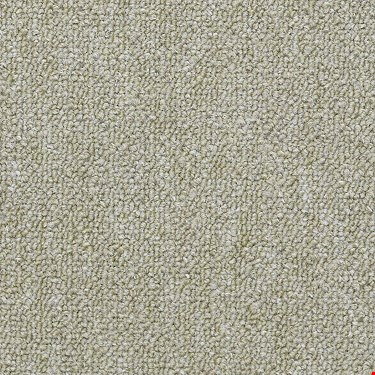 Shaw Capital III: Influential 24" x 24" Carpet Tile 54480 80302