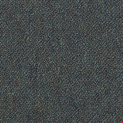 Shaw Capital III: Chief Officer 24