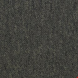 Shaw Capital III: Official Office 24