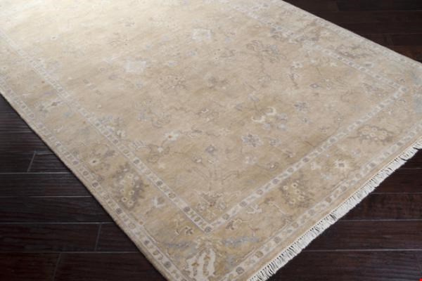 Surya Transcendent Parchment (TNS-9002) Rectangle 2'0" x 3'0"