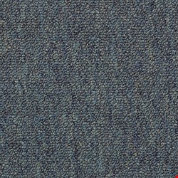 Shaw Capital III: City Hall 24