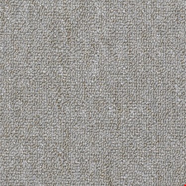 Shaw Capital III: Power Play 24" x 24" Carpet Tile 54480 80501