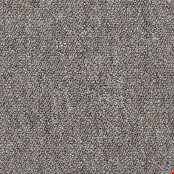 Shaw Capital III: Electoral Vote 24