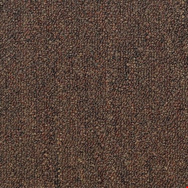 Shaw Capital III: Land Slide 24" x 24" Carpet Tile 54480 80600