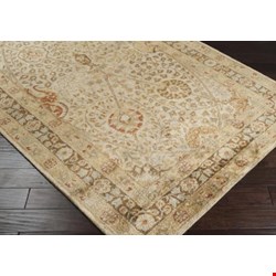 Surya Vintage Parchment (VTG-5202) Rectangle 3'3