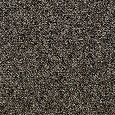 Shaw Capital III: Eminence 24" x 24" Carpet Tile 54480 80701