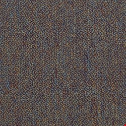 Shaw Capital III: Declaration 24