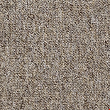 Shaw Capital III: Justice 24" x 24" Carpet Tile 54480 80770